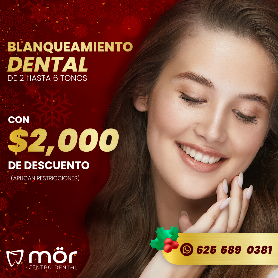 Promoción brackets con 50% de descuento